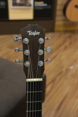 Taylor Baby Taylor-e Koa_5