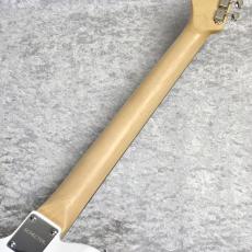 SCHECTER OL-PT-P90/R【Oriental Line】_9