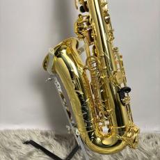 H. Selmer AXOS　セルマー　アルトサックス　アクソス　H.Selmer　クラシック_8