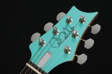 Paul Reed Smith [PRS] SILVER SKY Rosewood Wild Blue Limited edition 3.40kg_7