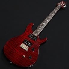 Paul Reed Smith [PRS] SE Custom 24 Flat Top Quilt 2010_2