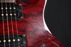 Paul Reed Smith [PRS] SE Custom 24 Flat Top Quilt 2010_4