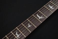 Paul Reed Smith [PRS] SE Custom 24 Flat Top Quilt 2010_9