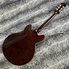 Epiphone Casino Vintage Sunburst_6
