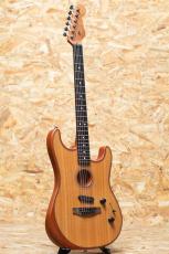 Fender American Acoustasonic Stratocaster NAT 2022_3