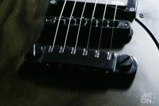 FUJIGEN JFL-FT-ASH-DE664-M 2016 (J-Standard Series)_6