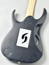 Ibanez 【決算セール】【装飾、芸術品の如し】PIA3761 XB #F2625099【3.72KG】_4