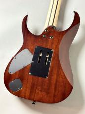 Ibanez 【決算セール】RG8570 -Brownish Sphalerite- [3.80kg] #F2427104_8