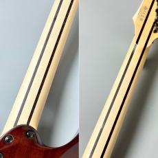 Ibanez 【決算セール】RG8570 -Brownish Sphalerite- [3.80kg] #F2427104_10