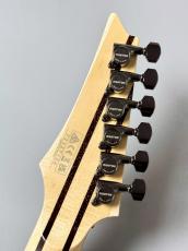 Ibanez 【決算セール】RG8570 -Brownish Sphalerite- [3.80kg] #F2427104_11