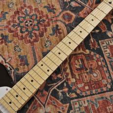 Squier Squier Sonic Telecaster, Maple Fingerboard, White Pickguard / Black_5