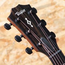 Taylor Next Generation 324ce_8