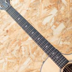 Taylor 312ce_6