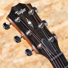 Taylor 312ce_8