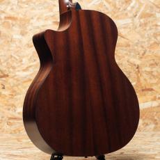 Taylor 314ce J-Spec_2