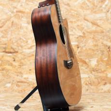 Taylor 314ce J-Spec_4