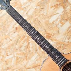 Taylor 314ce J-Spec_6