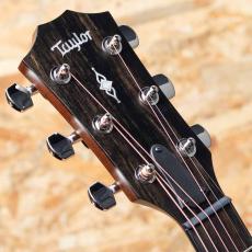 Taylor 314ce J-Spec_8