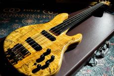 STR GUITARS LS449 Fretless #069