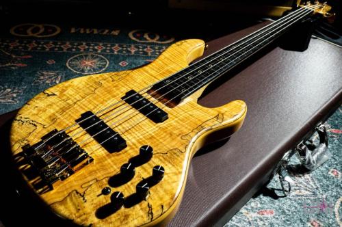 STR GUITARS LS449 Fretless #069