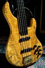 STR GUITARS LS449 Fretless #069_3