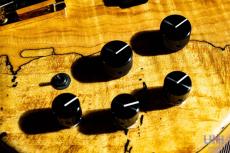 STR GUITARS LS449 Fretless #069_8