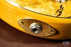 STR GUITARS LS449 Fretless #069_9