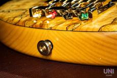 STR GUITARS LS449 Fretless #069_10
