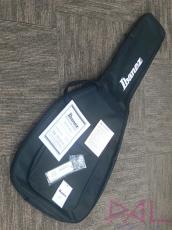 Ibanez AZ24S1F VLS_9
