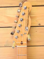 FERNANDES FTE-65N/Custom model_3