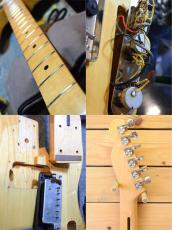 FERNANDES FTE-65N/Custom model_5
