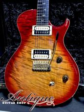Paul Reed Smith [PRS] 20th Anniversary Artist Package Singlecut Trem 2006 Dark Cherry Sunburst w/Gold Hardware 3.78kg Virgin Solder & Full-Original "1P Killer Figured Maple Top & Dark Brazilian Rosewood FB"_2