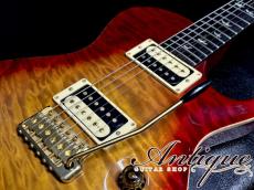 Paul Reed Smith [PRS] 20th Anniversary Artist Package Singlecut Trem 2006 Dark Cherry Sunburst w/Gold Hardware 3.78kg Virgin Solder & Full-Original "1P Killer Figured Maple Top & Dark Brazilian Rosewood FB"_7