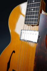Stringphonic LeRoy SA_10