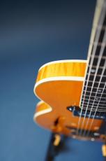 Stringphonic LeRoy SA-P90_10