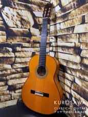 Juan Hernandez [ホアン・エルナンデス] ホアン・エルナンデス 2011年製 Flamenca Profesional 松・シープレス【日本総本店2F 在庫品】