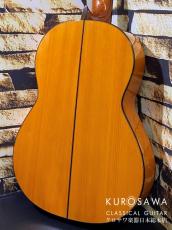 Juan Hernandez [ホアン・エルナンデス] ホアン・エルナンデス 2011年製 Flamenca Profesional 松・シープレス【日本総本店2F 在庫品】_5