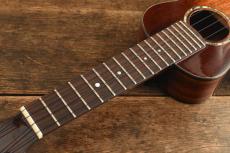 Singer Soprano RS1M-TS_7