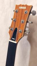 YAMAHA SG-30フレットレス_5