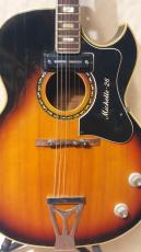 Teisco M26 Michelle _2