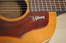 Gibson J-50　1968年製_11