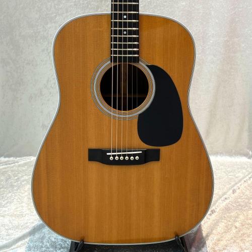 Martin D-28