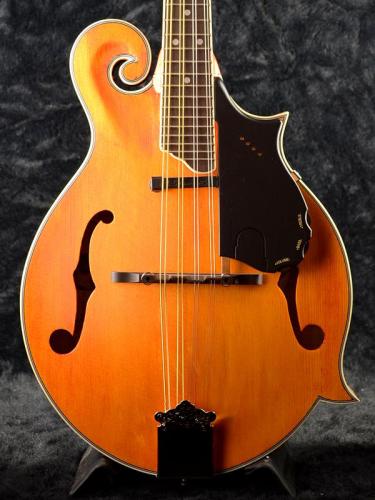 Epiphone MM-50E 【ビンテージナチュラル】【エレクトリックマンドリン】【オンラインストア限定】