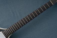 Prohaszka Guitars Drooid【4.49kg】_8