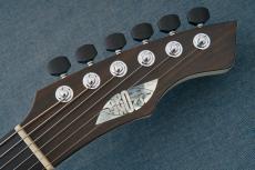 Prohaszka Guitars Drooid【4.49kg】_9