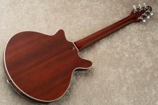 Kz Guitar Works Kz RS Replica #20240566 【Red Special】_6
