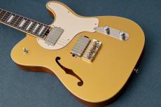 Kz Guitar Works Kz TL Trad Semi-Hollow 22 2H8 Custom w/Brazilian Rosewood -Gold Top-_6