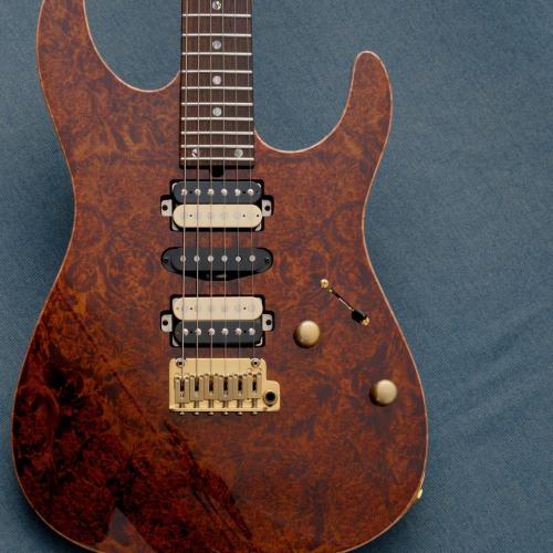 T's DST Pro 24 w/5A Burl Maple -Trans Brown-【3.65kg】