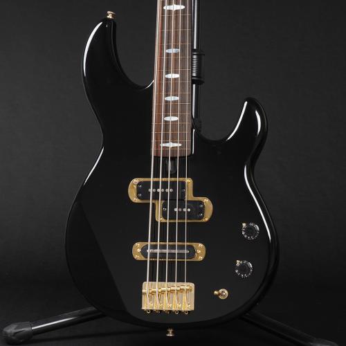YAMAHA BB5000 Fretless Mod.