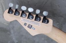 Charvel  "Jake E Lee" Signature Model / Pro-Mod _4